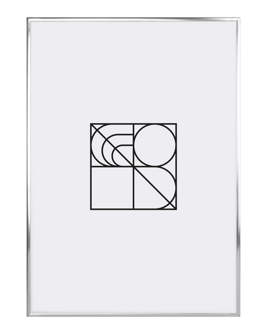 Silver Metal Frame